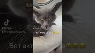 Послушный мальчик♥️♥️♥️