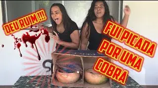 FUI PICADA POR UMA COBRA !!!!! ( O QUE TEM NA CAIXA?!)