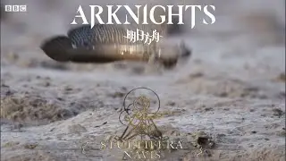 Arknights IRL -  Stultifera Navis