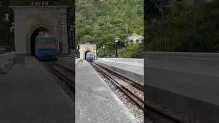 Эффектное появление поезда 🚇 #travel