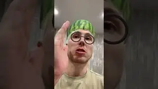 Почка