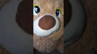 Леди Баг и супер кот крутые 😎😎😎😎😎😎🐈🐈🐞🐞🐞🐻🐻