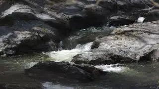 Escape to Serenity Relax and Unwind with Spring Birds and Waterfall Sounds