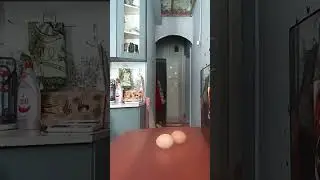Пора замутить перекусочек 🤣