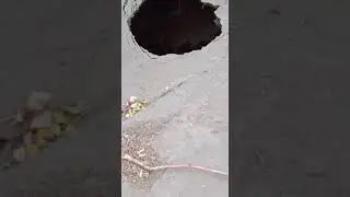 На Краснослободской образовалась яма