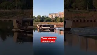 2 июля 2023 г.