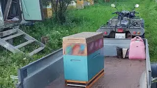 Мой первый 6-ти рамочник (БРОНЕУЛИК)