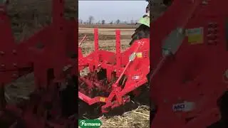 Maschio Pinocchio 200