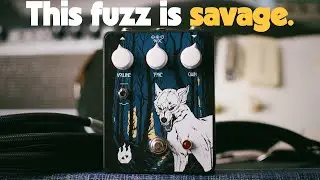 Re-introducing the Ace Tone Fuzz Master FM-3 sound | Evil Eye FX WARG Hi-Gain Fuzz