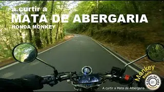 A curtir a Mata de Albergaria 2024 - Monkeyride