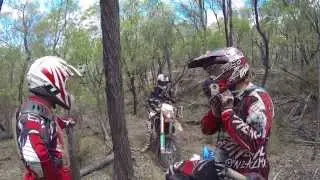 The Lost Tracks of Sandy Hollow