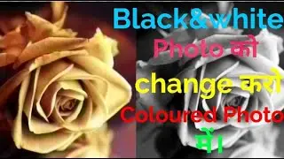 How to change Black & white photo into coloured photo without using photoshop only in 10 seconds