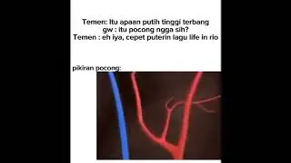 puter lagu life in rio - random meme #7 #shorts #memes #memeindonesia #edit