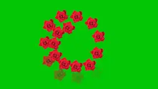 Green screen flower effect hd video