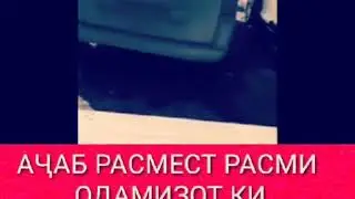 Ачаб расмест расми одамизот ки чонаш меравад бовар надорад