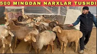 NARXLAR TUSHDI 5 KE DAYAM