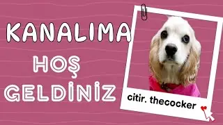 kanalima hoş geldiniz hifsanlar.