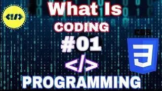 How To Learn Coding 2022?||Programming 💻