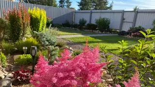 Магия цветов и цвета 🌺🌸🌺Новый цветничок 🌺🌸🌺Обзор теплицы🧑‍🌾🏡