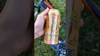 Monster energy dragon tea 🐉