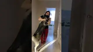 Утренний танец Байкала