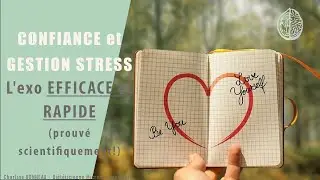 Meilleures Gestion du stress et Confiance en soi : 1 jeu simple (aux effets  prouvés!)