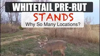 Whitetail Pre Rut Stand Options
