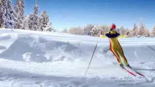 Sanfor - Biathlon / Санфор - Биатлон