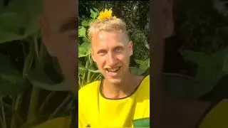 Где у пчёлы находится жало ??? 