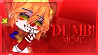 DUMB! MEME REMAKE