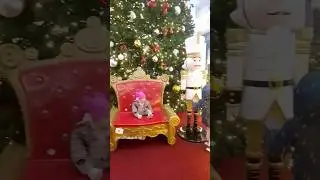 Ангелина Ева 💖🤪😎😎💕🔥😘 #tiktok #блогер #мама #семья #бебибон #дети #cute