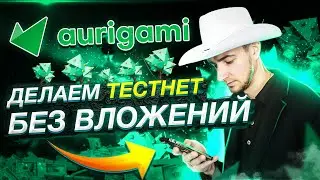 Делаем Тестнет от проекта AURIGAMI