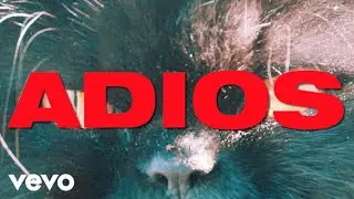 Pimp Flaco - 2. Adios (Prod Kuor Larraz)
