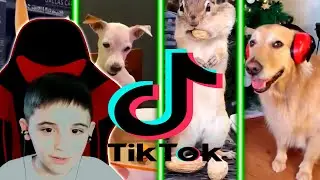 ТОП САМЫХ СМЕШНЫХ ВИДЕО 2022! УБОЙНЫЕ РОЛИКИ ИЗ TIK TOK И НЕ ТОЛЬКО |ПОДБОРКА #1