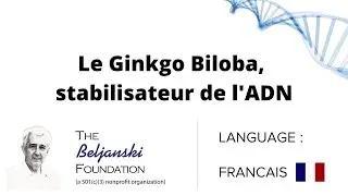 Le Ginkgo Biloba, stabilisateur de l'ADN
