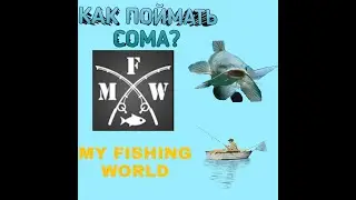 Гайд на сома в my fishing world