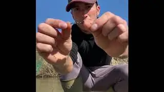 Montatura per la pesca in passata
