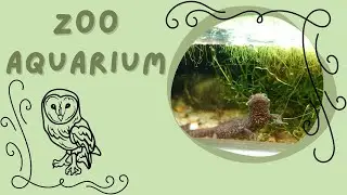 Zoo - Süßwasser Aquarium - Dänemark Urlaub