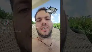 battuta al mare #humor #shortsvideo #shortvideo #comedy #shorts #short