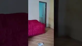 eu não tou sozinho