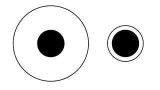35- La perception
