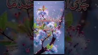 ایک شاندار درود پاک #ہزار دن کی عبادت کا ثواب #shortfeed #youtubeshort #daroodpak