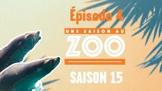 Tanguy fait des progrès et c'est impressionnant ! (S15E04) [INTEGRAL]