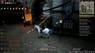 Black desert. Качаем шай с нуля. Ответы на вопросы.