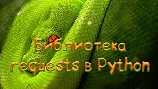 Библиотека Requests в Python