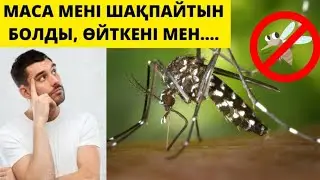 ЕГЕР СІЗДІ МАСА ЖИІ ШАҚСА, СІЗДІҢ ҚАНЫҢЫЗДА...