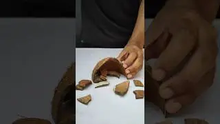 🥥Coconut Shell Flower Craft  #shorts #diy #ideas #coconutshellcraft #craft