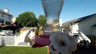 Hummingbirds Summer of 2018