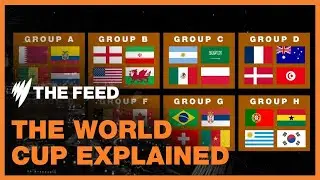 Five things you need to know about the 2022 FIFA World Cup  | Explainer | SBS The Feed