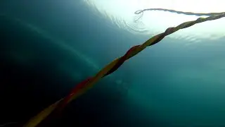 Diving in Antarctica